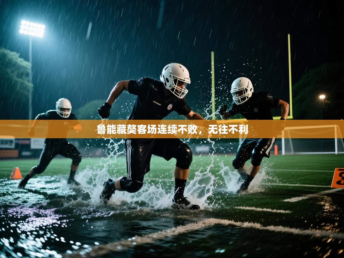 鲁能藏獒客场连续不败，无往不利  第2张