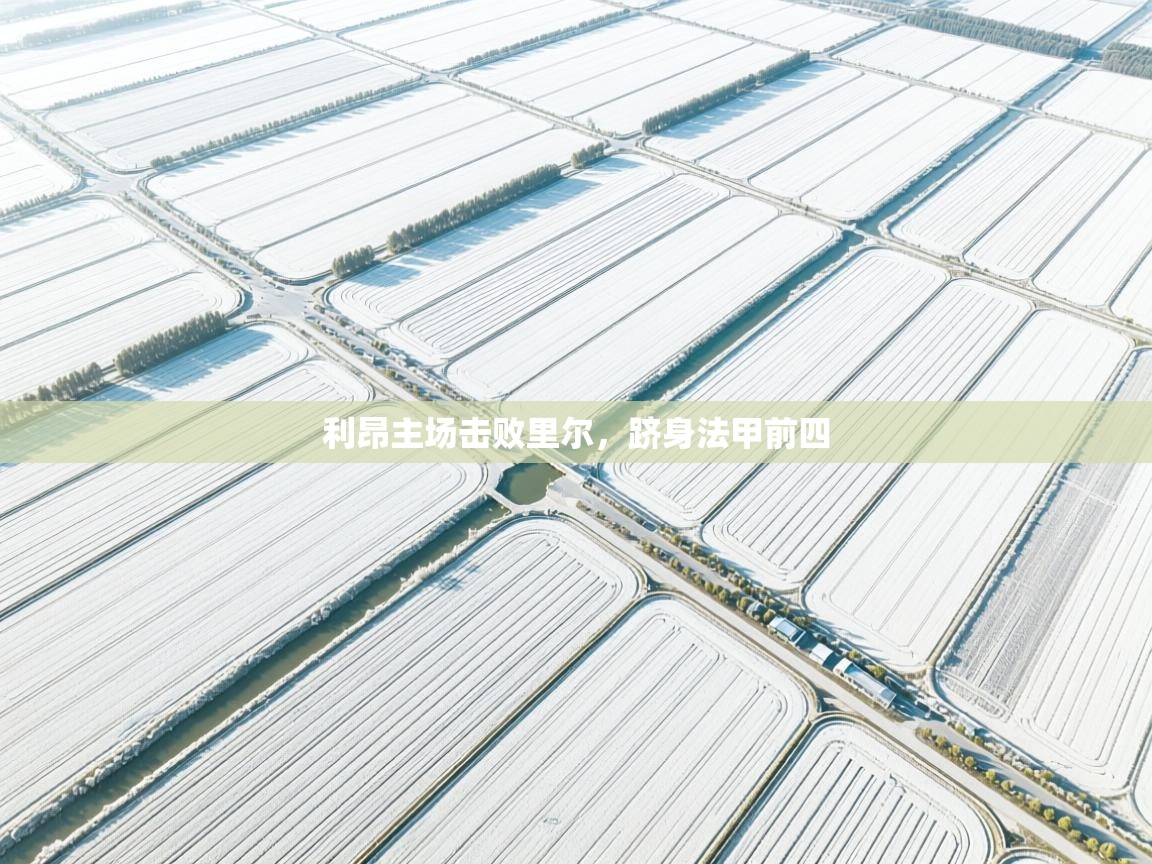 利昂主场击败里尔,跻身法甲前四 第2张