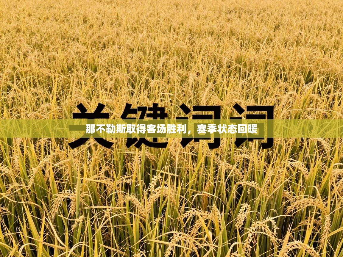 那不勒斯取得客场胜利,赛季状态回暖 第1张